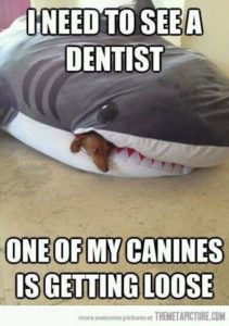 A dog represented as a canine tooth inside a whale as dental humor